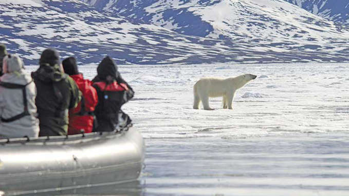 Zodiac Excursion Vessel Looking At Polar Bear On Ice