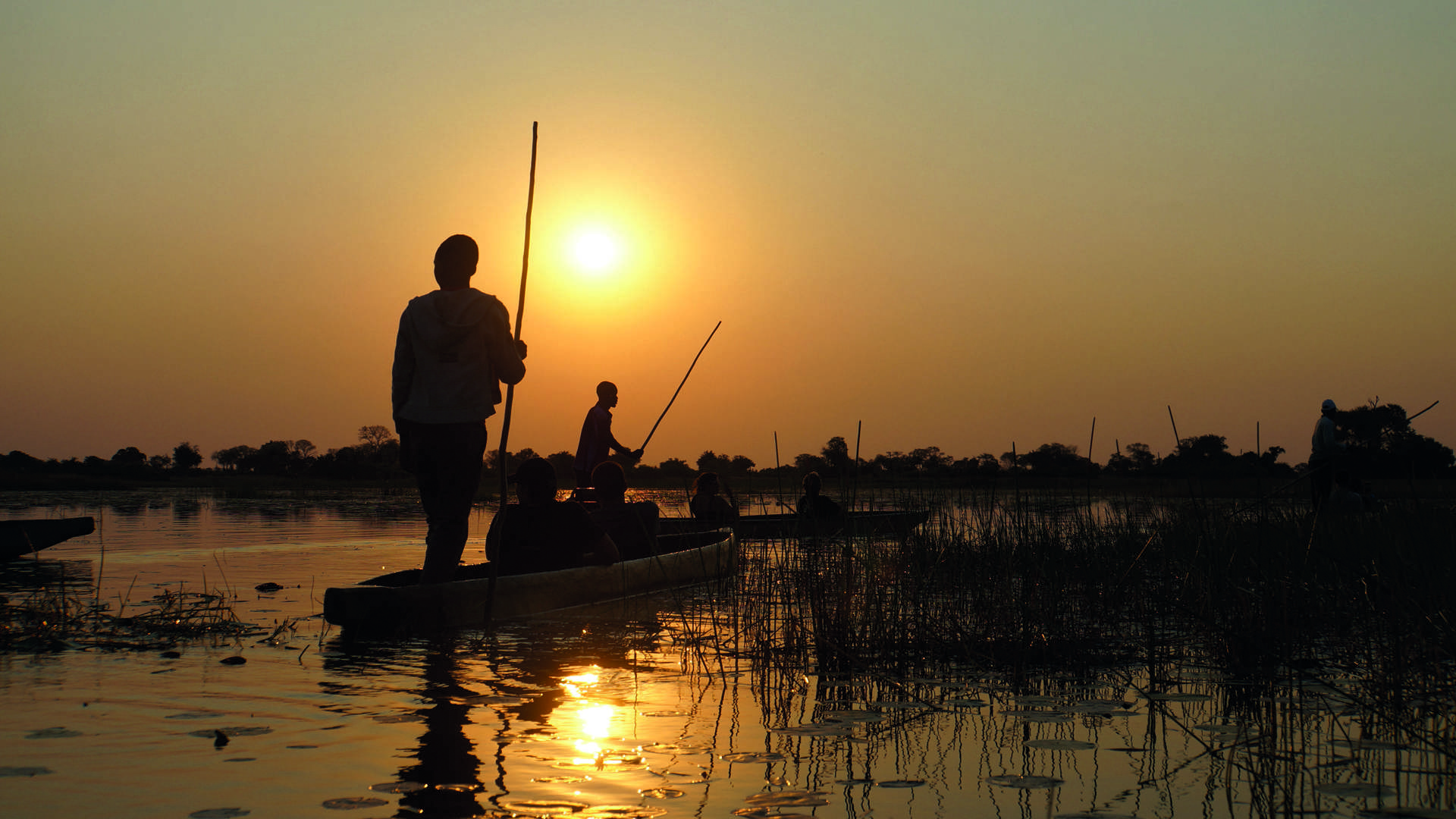 Mokoro, Boat Trip, Okavango Delta, Botswana, Africa