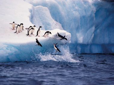 Antarctica Expedition Cruise: Icebergs & Wildlife