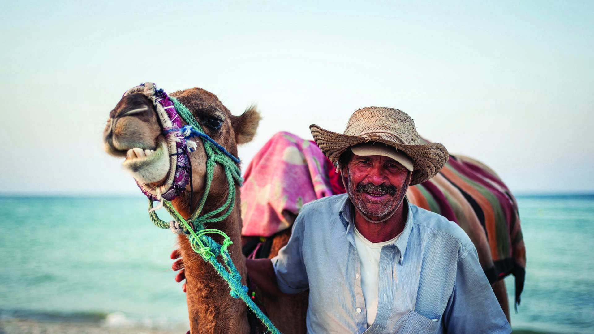 Camel Owner Coast Tunisia Istock 1178169458