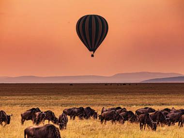 Kenya Safari Adventure: Big Five, Masai Mara & Lake Nakuru