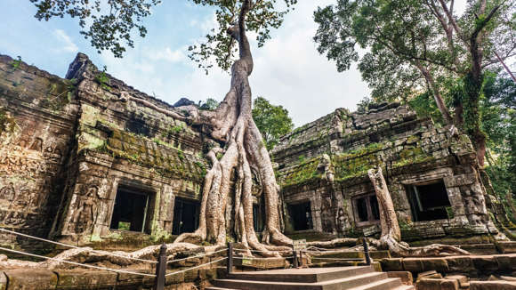 Ta Prohm Temple, Cambodia