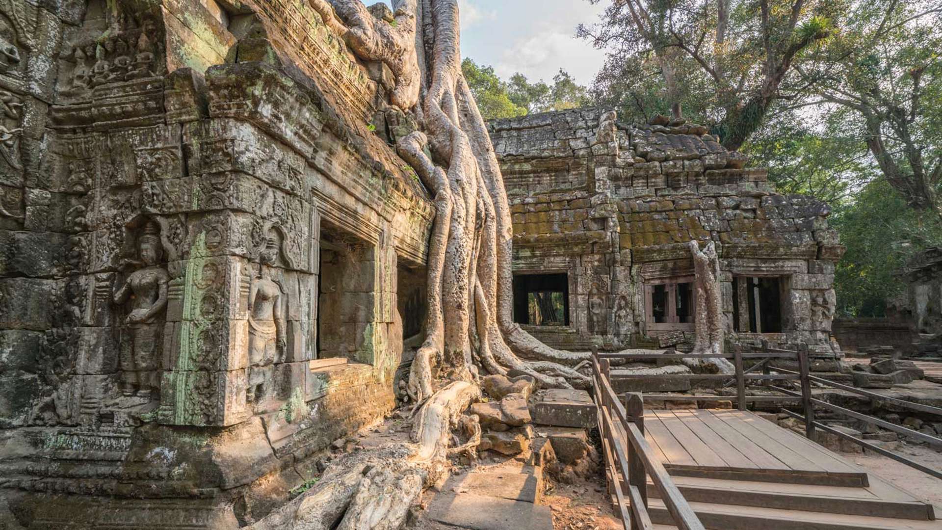 Ta Prohm Angkor Wat, Cambodia