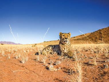 Namibia Grand Tour: Wildlife, Dunes & Deserts