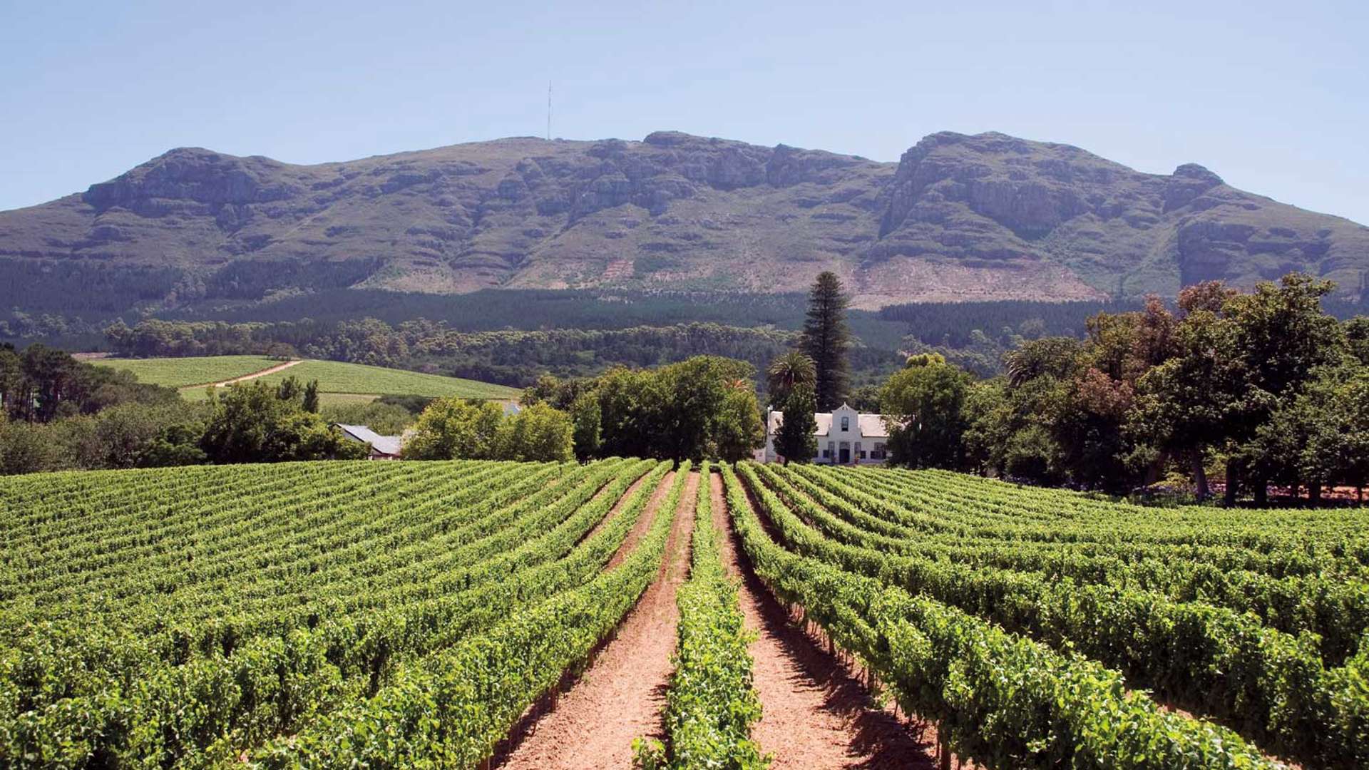 Winery, South africa, africa