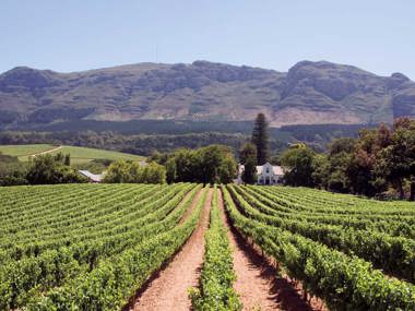 South Africa’s Garden Route & Cape Winelands Highlights