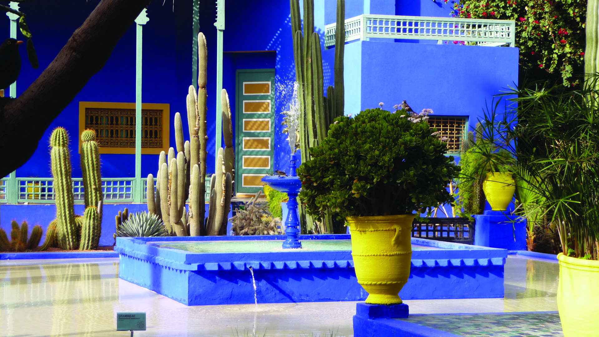 Majorelle Gardens Marrakech Morocco