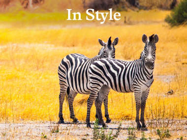 Botswana Explorer In Style