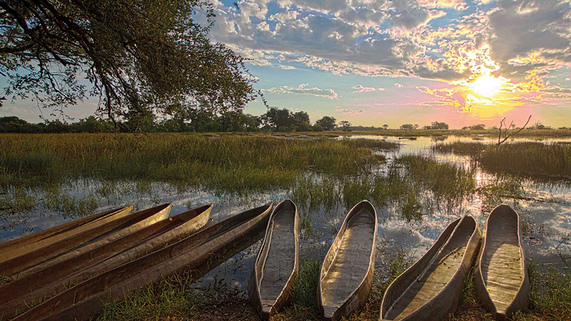 Mokoro Traditional Canoe, Okavango Delta, Botswana