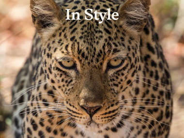 Robin Pope Safaris In Style, Thumbnail