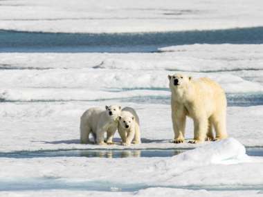 Svalbard, Arctic, Norway
