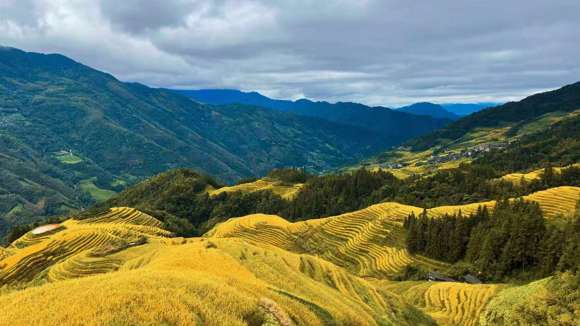 Longji Rice Terraces, China 