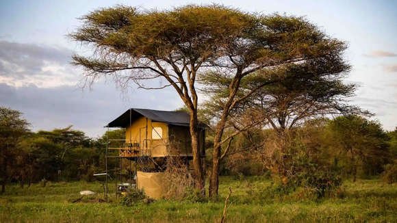Bush Rover Camp Serengeti