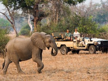 Robin Pope Safaris: Zambia & Malawi Adventure