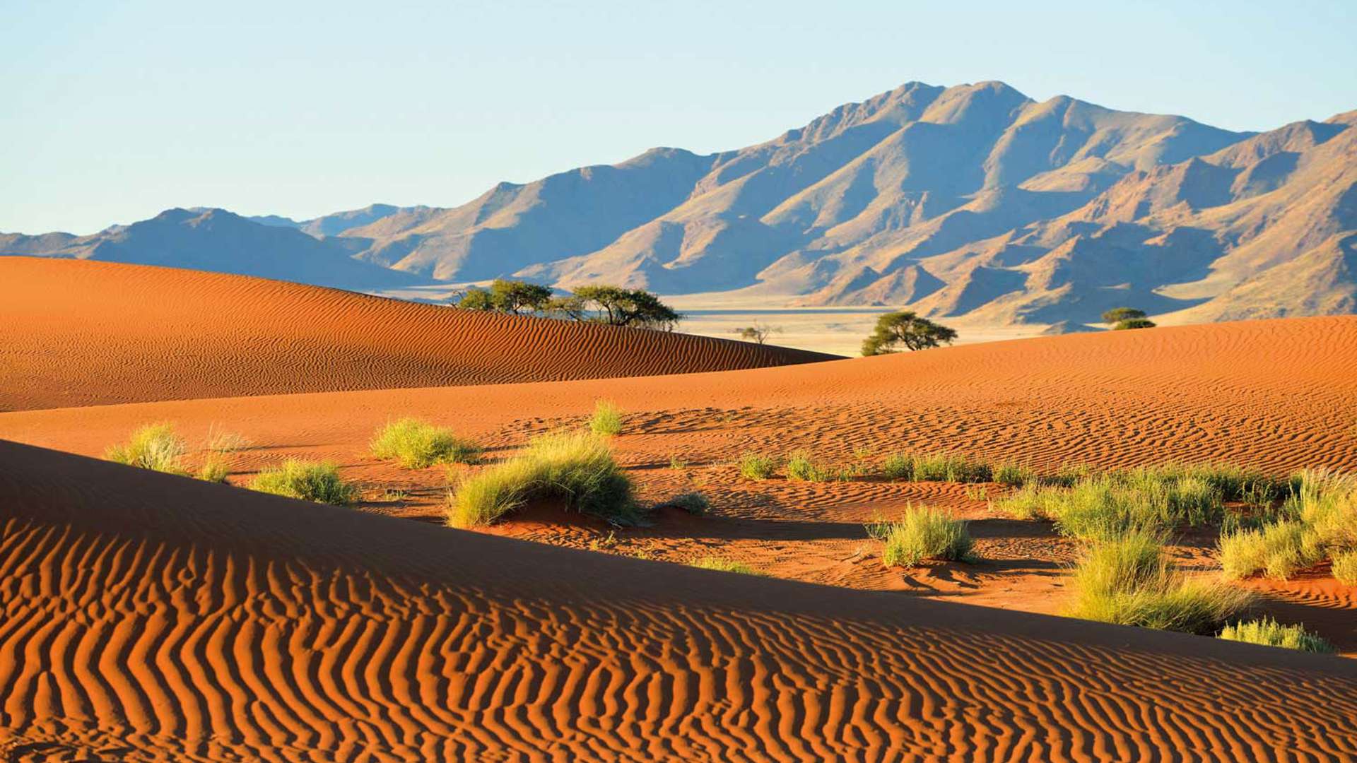 Dune Ripples, Namibia, africa