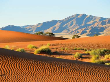 Namibian Journey: Desert Landscapes & Wildlife